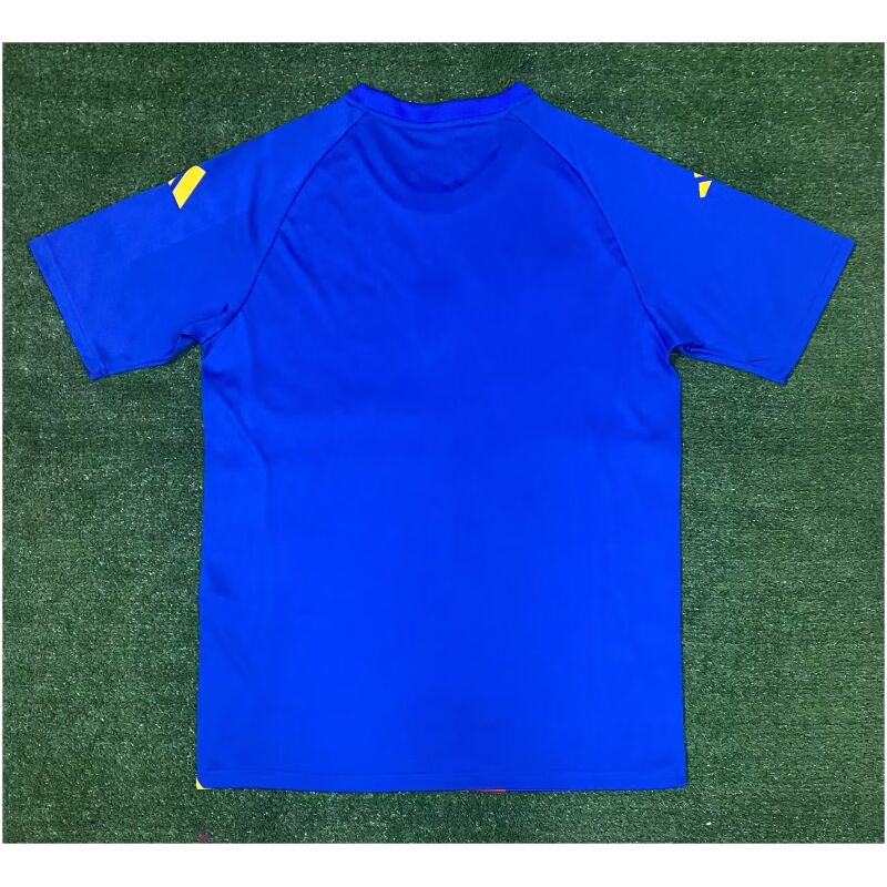 Mens Spain Short Training Blue Jersey 2024