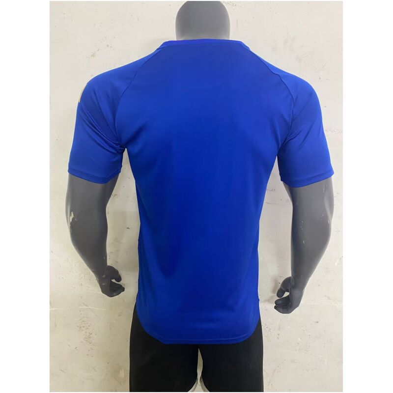 Mens Spain Short Training Blue Jersey 2024