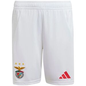 Mens Benfica Home Shorts 2024/25