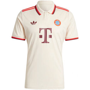 Mens Bayern Munich Third Jersey 2024/25