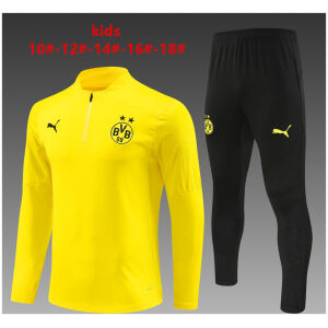 Kids Borussia Dortmund Training Suit Yellow 2024/25